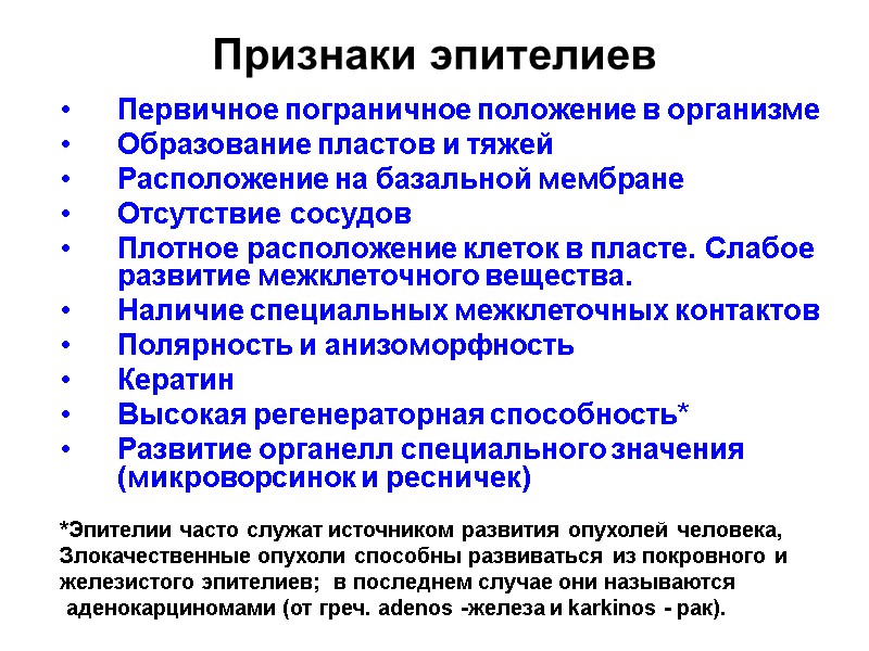 Признаки эпителиев Первичное пограничное положение в организме  Образование пластов и тяжей  Расположение